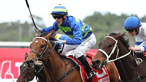 2024 Northerly Stakes .